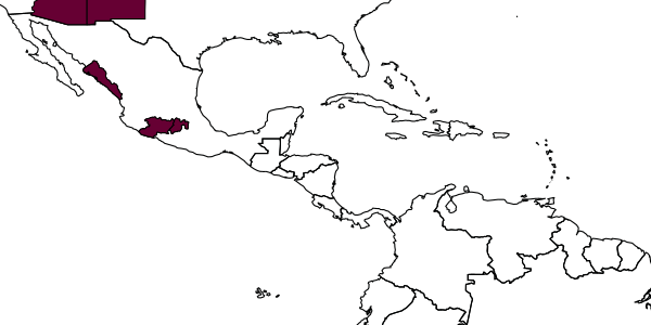 map of Pseudisobrachium minimum     Evans, 1961
